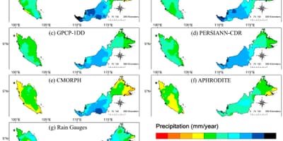 Malaysian rainforest แผนที่